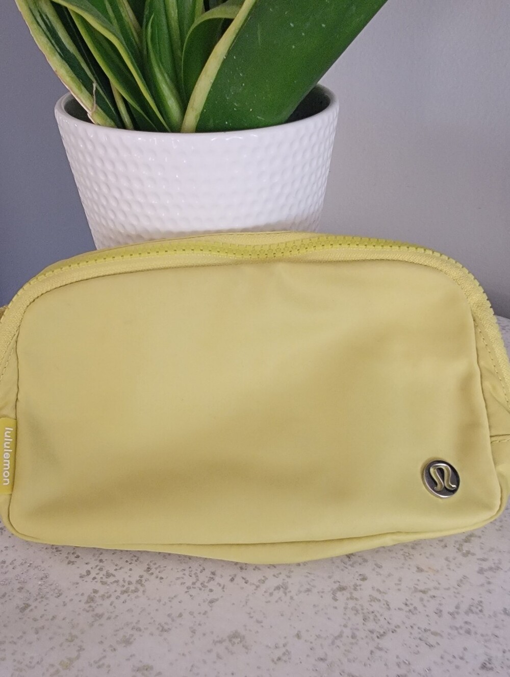 Everywhere Belt Bag